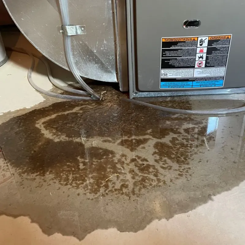 Pipe Burst and Leak Restoration in Smith County, TN
