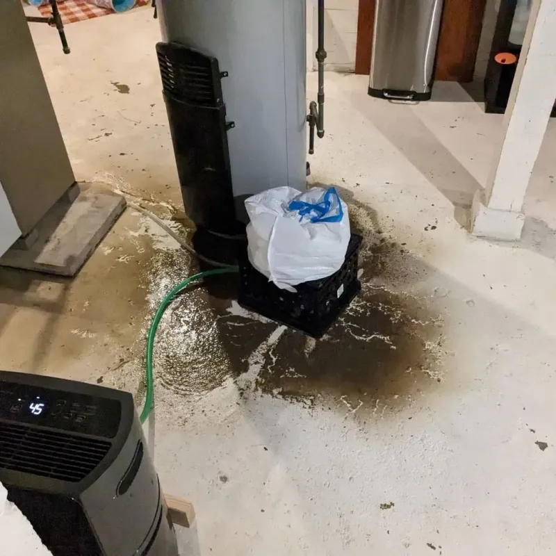 Sewage Backup Cleanup Service in Smith County, TN
